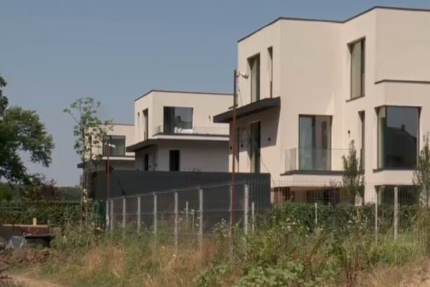 video deversare ilegala in apropierea padurii baneasa administratorul unui complex rezidential de lux amendat de garda de mediu 6a5c6999d07f4