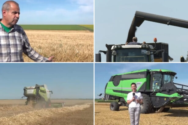 video fermierii ar putea cumpara motorina fara acciza direct de la pompa propunerea legislativa a ajuns in senat nu pomeni asteptam noi 6a4f6a8165af5