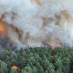 video incendii forestiere de amploare exceptionala in apropierea parisului au fost mobilizati 400 de pompieri avioane elicoptere 6a54844ac6689
