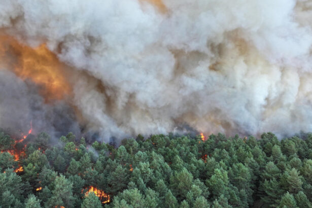 video incendii forestiere de amploare exceptionala in apropierea parisului au fost mobilizati 400 de pompieri avioane elicoptere 6a54844ac6689