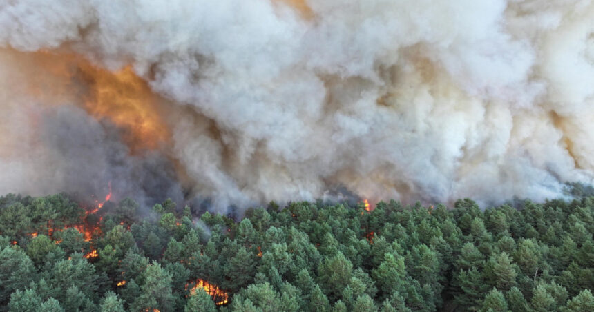 video incendii forestiere de amploare exceptionala in apropierea parisului au fost mobilizati 400 de pompieri avioane elicoptere 6a54844ac6689