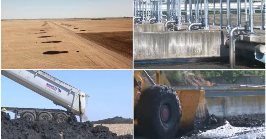 video secretul recoltelor bogate din arad namolul din apele uzate transformat in ingrasamant si profit pentru agricultori 6a6adc0a61bba