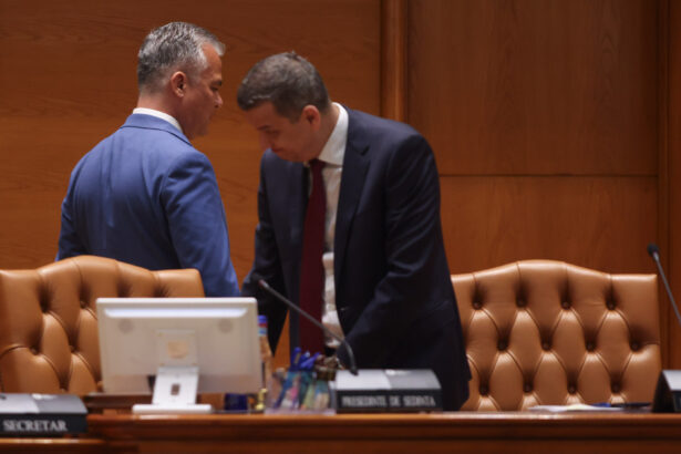 video surse cum incearca psd sa stranga voturile necesare pentru guvernul grindeanu cine decide majoritatea in parlament 6a6cd76d95221