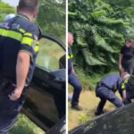 video urmarit international prins in trafic acesta era condamnat pentru un furt comis in 2023 6a623531a71a0