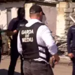 video val de sesizari absurde la garda de mediu de la mirosul de tocanita venit din vecini pana la albinele care murdaresc masinile 6a5a4c317bcb4