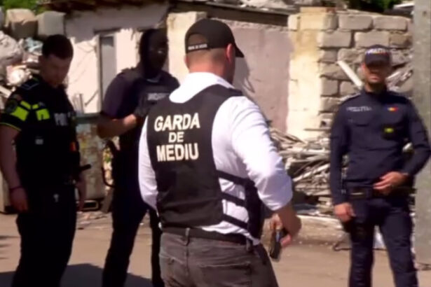 video val de sesizari absurde la garda de mediu de la mirosul de tocanita venit din vecini pana la albinele care murdaresc masinile 6a5a4c317bcb4