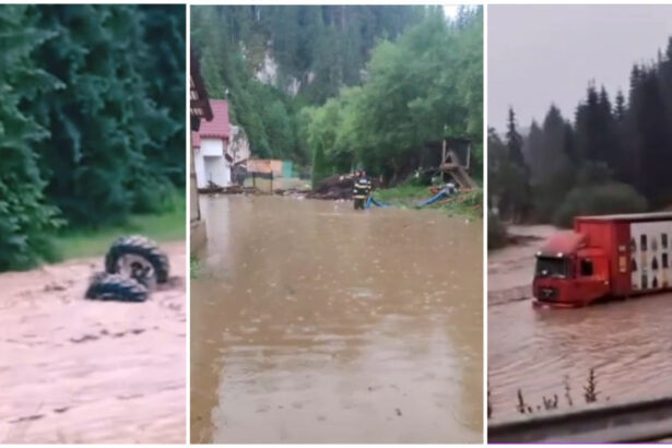 video viitura pe raul bistrita in suceava au fost inundate mai multe locuinte dupa codul rosu 6a4774c205936