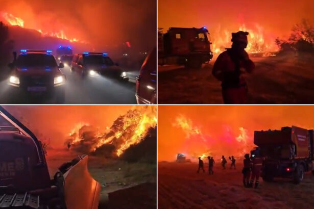 videofoto cel mai mare incendiu din spania din acest an 12 000 de hectare au ars un barbat a fost arestat pentru incendiere intentionata 6a59fed986fbc