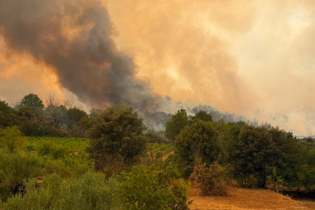 videofoto pompierii romani lupta cu un incendiu major in franta flacarile ameninta locuinte din apropierea localitatii correns 6a6cef12303af