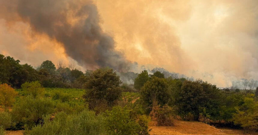 videofoto pompierii romani lupta cu un incendiu major in franta flacarile ameninta locuinte din apropierea localitatii correns 6a6cef12303af