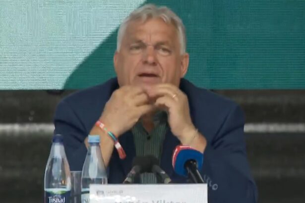 viktor orban in romania ungaria a devenit o noua venezuela unde democratia si statul de drept sunt desfiintate un amalgam de comunism autoritate politica si opresiune economica 6a64a590a145a