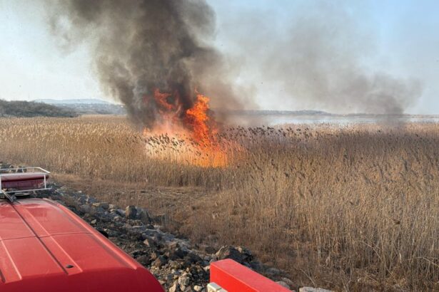 alerta aeriana in nordul judetului tulcea explozie si incendiu dupa prabusirea unei drone 6a7ee2236194f