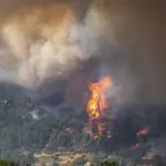 alerta mae cod rosu de risc de incendii in valencia recomandarile autoritatilor 6a7718a388f79