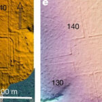 amazonul ar fi putut sustine milioane de oameni in urma cu 2 000 de ani ce au descoperit cercetatorii sub padure 6a9591fcb5201