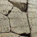 cand au inceput oamenii sa vorbeasca ce pot spune cercetatorii despre originea limbajului 6a92ef4ef0999