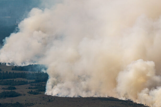 cel mai mare incendiu din istoria belgiei se indreapta acum spre germania dupa ce a devastat 3 000 de hectare 6a81b2b11e3d1