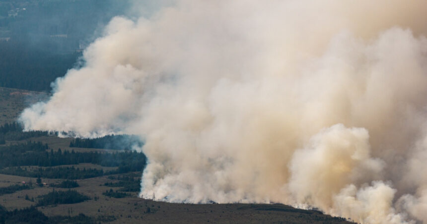 cel mai mare incendiu din istoria belgiei se indreapta acum spre germania dupa ce a devastat 3 000 de hectare 6a81b2b11e3d1