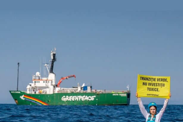 cine minte greenpeace a reclamat ca a fost blocata acostarea arctic sunrise in portul constanta anr si capitania neaga 6a8e27864a18b