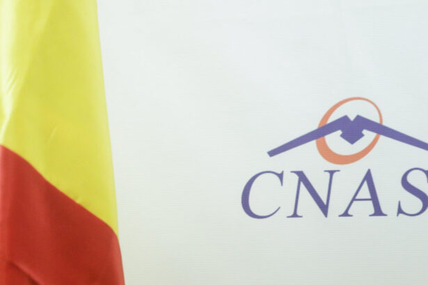 concurs pentru 20 de posturi de director general in teritoriu organizat de casa nationala de asigurari de sanatate 6a87460fae047