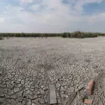 de ce nu ajuta ploile de vara la diminuarea secetei climatolog sunt distribuite neuniform si nu acolo unde este nevoie mai mare 6a76b662ea21e