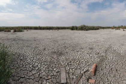 de ce nu ajuta ploile de vara la diminuarea secetei climatolog sunt distribuite neuniform si nu acolo unde este nevoie mai mare 6a76b662ea21e