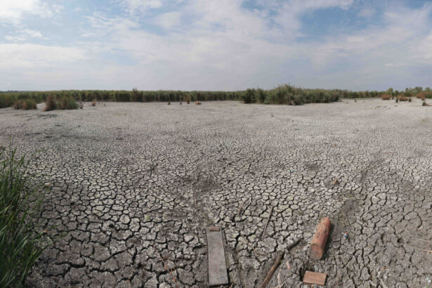 de ce nu ajuta ploile de vara la diminuarea secetei climatolog sunt distribuite neuniform si nu acolo unde este nevoie mai mare 6a76b662ea21e