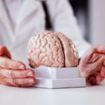 descoperire surprinzatoare celule cerebrale umane cultivate in laborator au simtit trecerea timpului explicatia cercetatorilor 6a85e67fde4e4