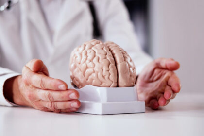 descoperire surprinzatoare celule cerebrale umane cultivate in laborator au simtit trecerea timpului explicatia cercetatorilor 6a85e67fde4e4