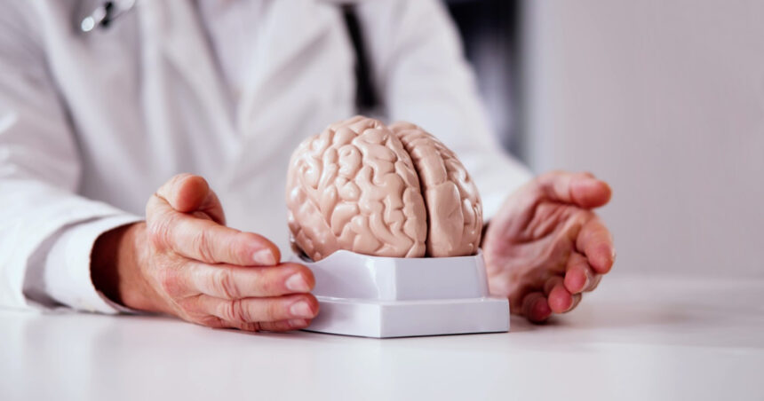 descoperire surprinzatoare celule cerebrale umane cultivate in laborator au simtit trecerea timpului explicatia cercetatorilor 6a85e67fde4e4