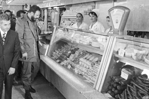 documente ale securitatii cum aratau cozile si lipsa alimentelor in romania comunista rafturile sint goale nu ai ce cumpara 6a860cfa50711