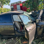 doi morti si doi raniti dupa ce o masina s a izbit violent de un copac pe un drum judetean din buzau 6a6e2b77f405e