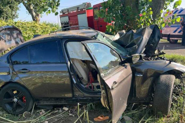 doi morti si doi raniti dupa ce o masina s a izbit violent de un copac pe un drum judetean din buzau 6a6e2b77f405e