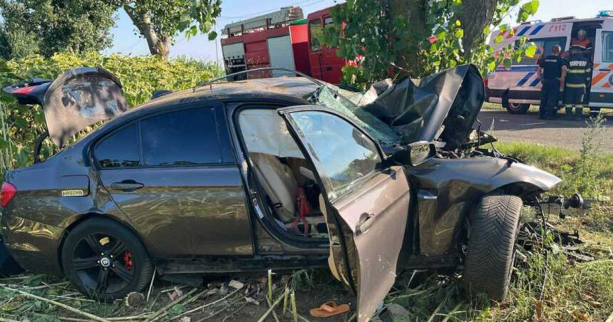 doi morti si doi raniti dupa ce o masina s a izbit violent de un copac pe un drum judetean din buzau 6a6e2b77f405e