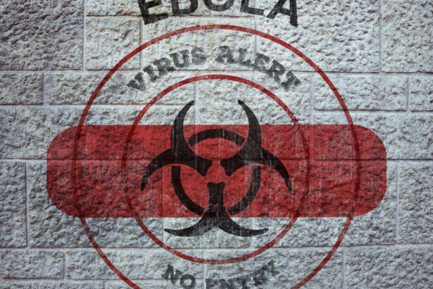 epidemia de ebola din rd congo a ucis peste 2 000 de oameni este al doilea cel mai mare focar din istorie 6a7c61fa0a052