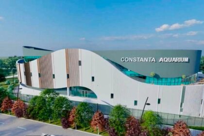 galerie foto pinguini tuneluri subacvatice si bazine spectaculoase cum va arata noul acvariul din constanta 6a744f19dc4a0