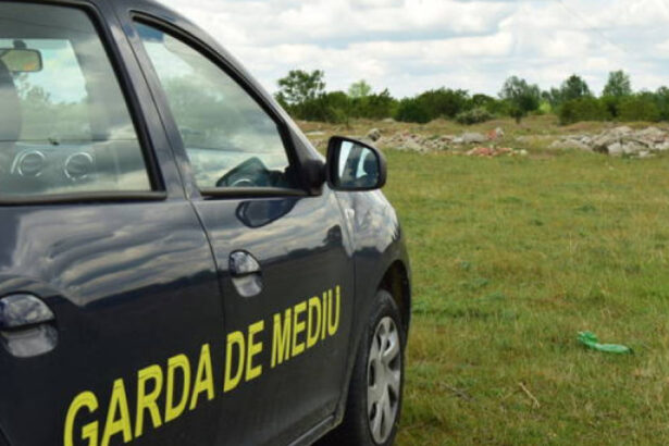 garda de mediu fotografiile publicate in online nu sunt suficiente ce trebuie sa faceti pentru o sesizare corecta si valida 6a6f6438a5b87