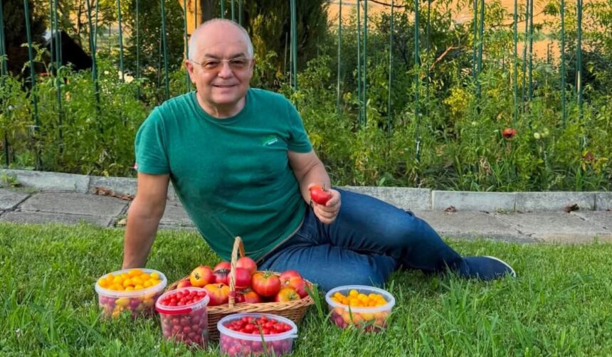imagini din gradina lui emil boc primarul din cluj napoca a cules primele rosii cultivate de el o satisfactie pe care niciun magazin nu o poate oferi 6a72e0c50b92b