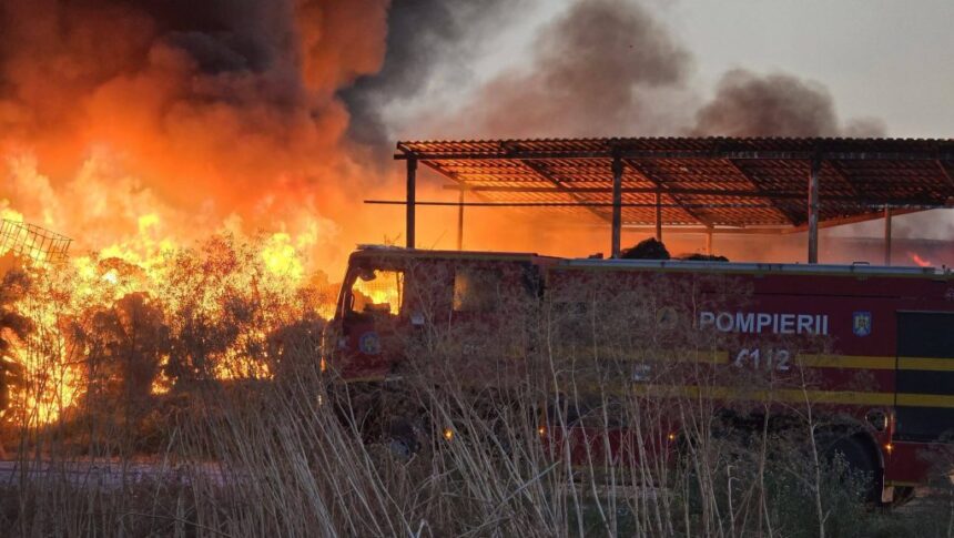 incendiul de de lumina lichidat dupa 12 ore mai multe anchete au fost deschise pentru stabilirea cauzelor si pentru poluare 6a7d6fd2385ca
