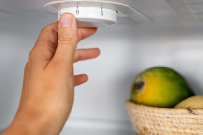 la cate grade trebuie setat frigiderul temperatura care pastreaza alimentele in siguranta si poate reduce consumul de energie 6a7559fcda0fc