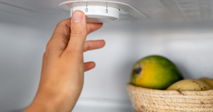 la cate grade trebuie setat frigiderul temperatura care pastreaza alimentele in siguranta si poate reduce consumul de energie 6a7559fcda0fc