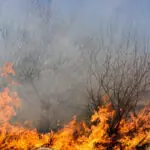 patru noi incendii au izbucnit in caras severin au intervenit zeci de pompieri si lucratori silvici ajutati de doua elicoptere 6a7a2871c9df5