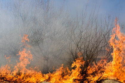 patru noi incendii au izbucnit in caras severin au intervenit zeci de pompieri si lucratori silvici ajutati de doua elicoptere 6a7a2871c9df5