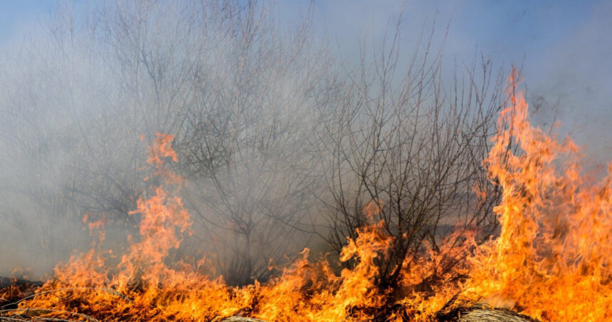 patru noi incendii au izbucnit in caras severin au intervenit zeci de pompieri si lucratori silvici ajutati de doua elicoptere 6a7a2871c9df5