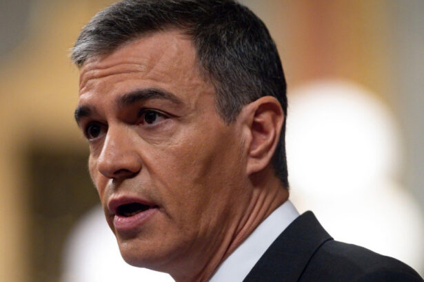 pedro sanchez spania continua ancheta privind valul de migranti din ceuta au fost raspandite zvonuri si dezinformari 6a9547fa37f37