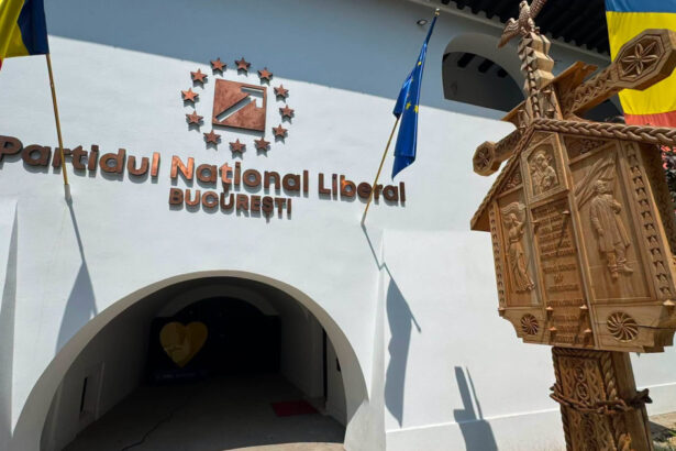 pnl bucuresti si a numit liderii interimari in patru sectoare oana gheorghiu si dragos pislaru printre noii presedinti 6a8839f96c6e4