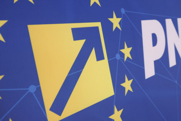 pnl cere partidelor sa deblocheze legea salarizarii fara calcule politice de moment romania nu isi permite sa piarda bani 6a7b0d5195eed