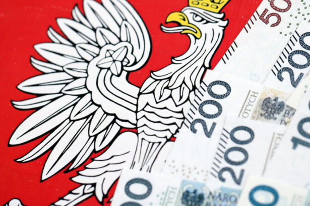 polonia a devenit a sasea cea mai mare economie a ue pib ul tarii este de peste doua ori mai mare decat cel al romaniei 6a76b5e10b821