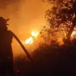 pompierii romani au intervenit la un incendiu de vegetatie si fond forestier din regiunea attica din grecia 6a6ef7a327ff4