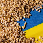 portul constanta esential in exportul cerealelor ucrainene kievul vrea coridor prin republica moldova reuters 6a7ae684e5209