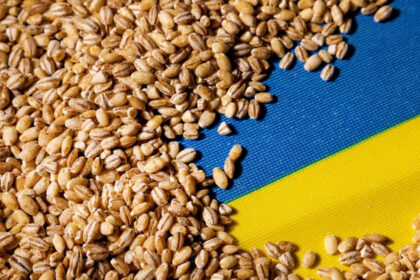 portul constanta esential in exportul cerealelor ucrainene kievul vrea coridor prin republica moldova reuters 6a7ae684e5209